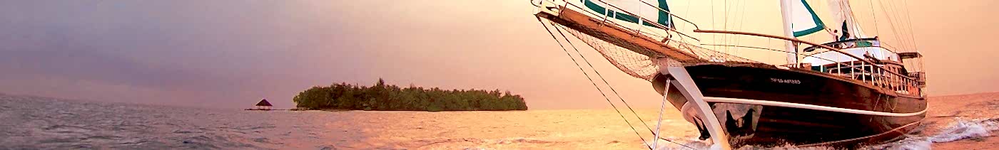 Information About Blue Cruises